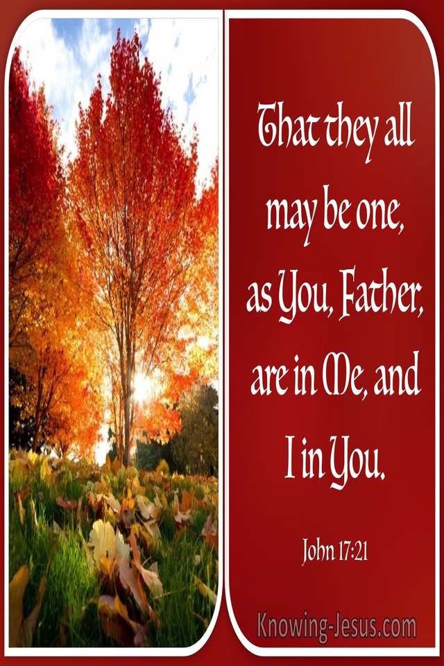John 17:21 That They All May Be One (windows)01:11